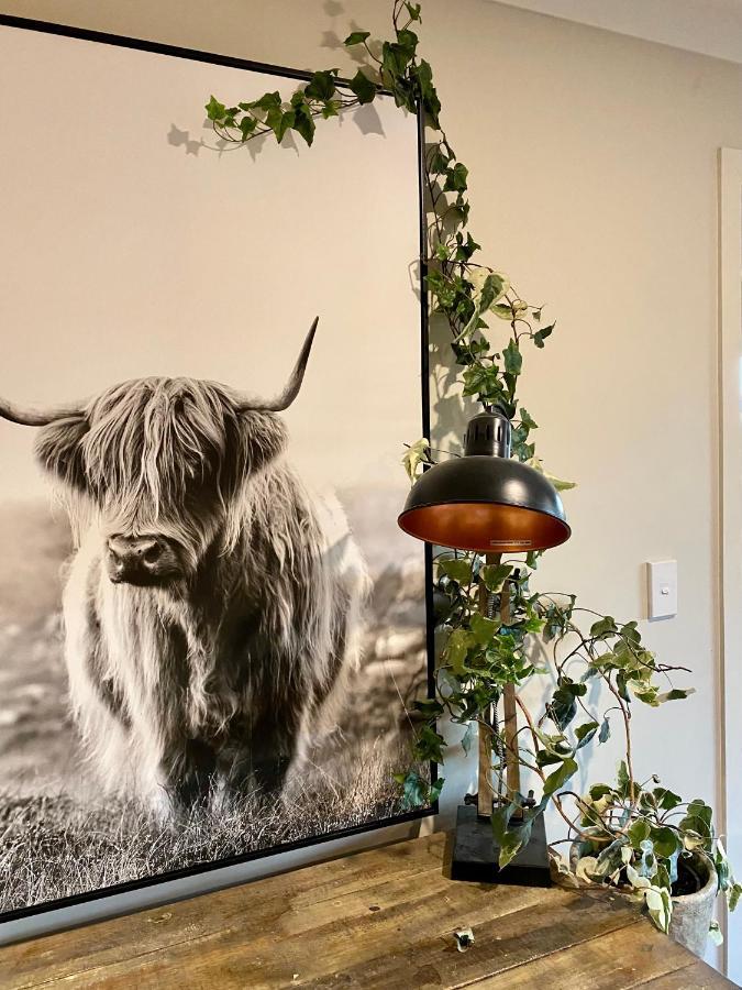 Ben Ohau Villa Twizel Extérieur photo